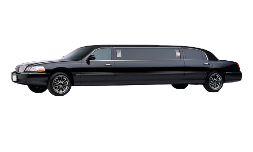 10 Passenger Limo