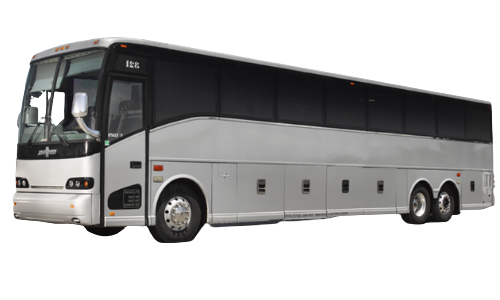 Entertainment Bus