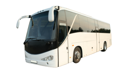 VIP Bus