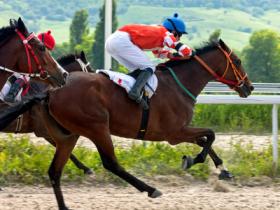 Bus Charter Nation Wide Horse Racing trip