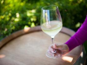 Bus Charter Nation Wide wine tour